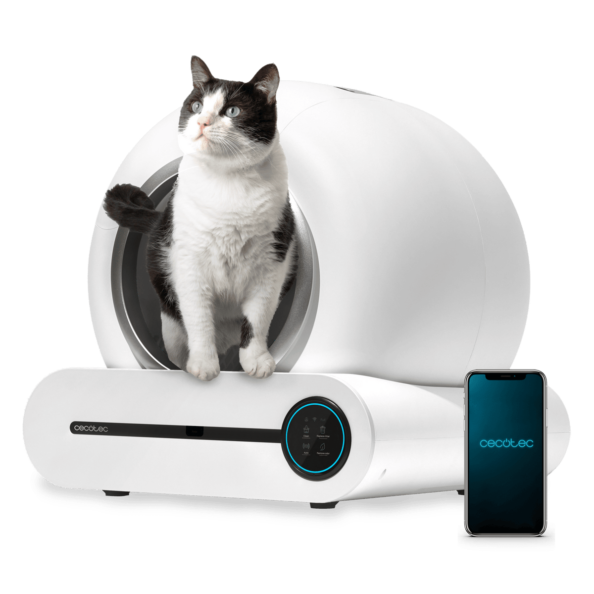 Pumba 8000 CleanKitty Smart(Default Title)